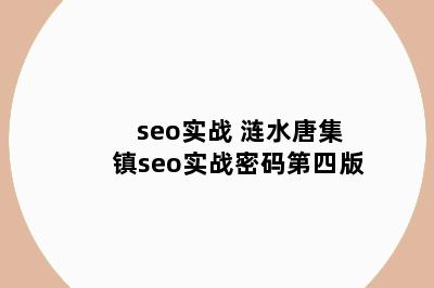 seo实战 涟水唐集镇seo实战密码第四版